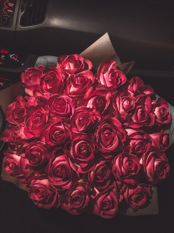 красивые розы букет