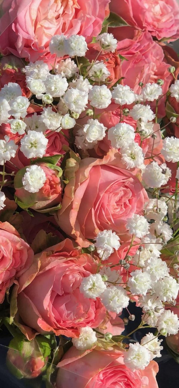 букет розы остина