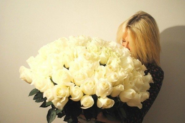 101 белая роза