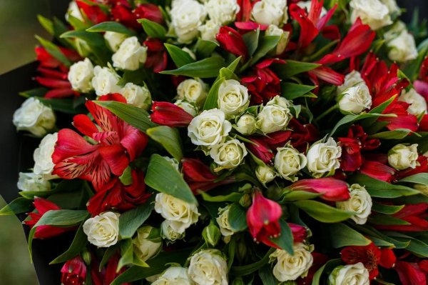 альстромерии букет