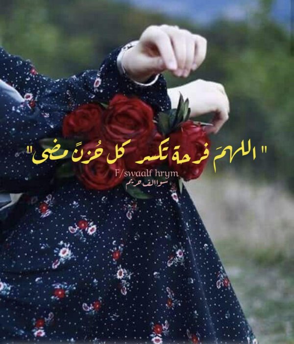 розы красивые