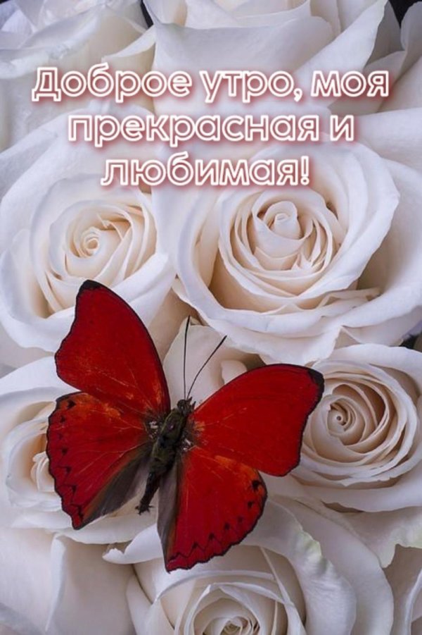 доброе утро прекрасная
