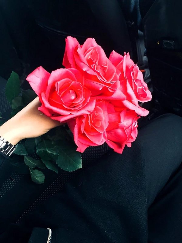 цветы в машине