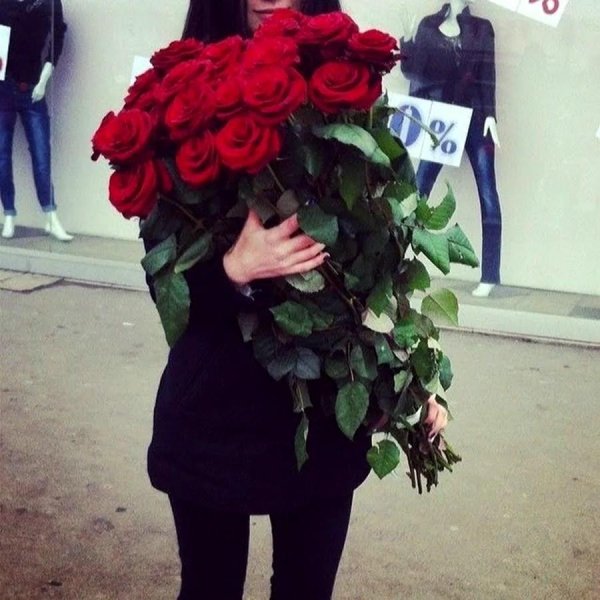 высокие розы