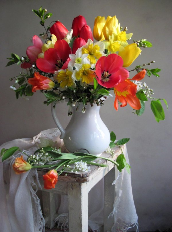 фотонатюрморты с тюльпанами