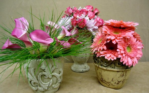 композиции цветов