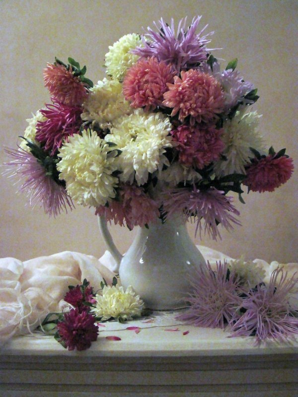 натюрморт с астрами