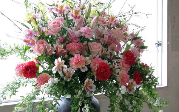 цветы живые