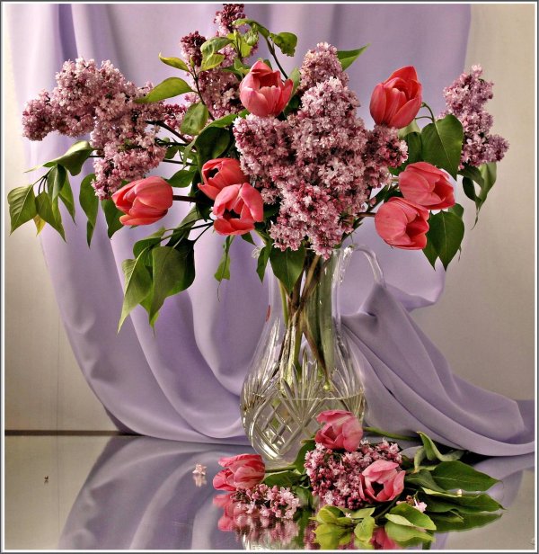 натюрморт сирень