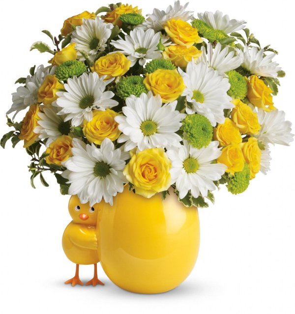 жёлтая ромашка