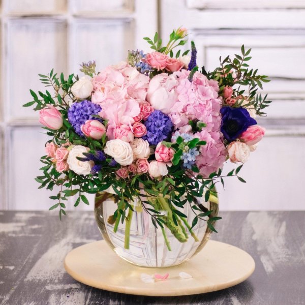 гортензия doppio rosa