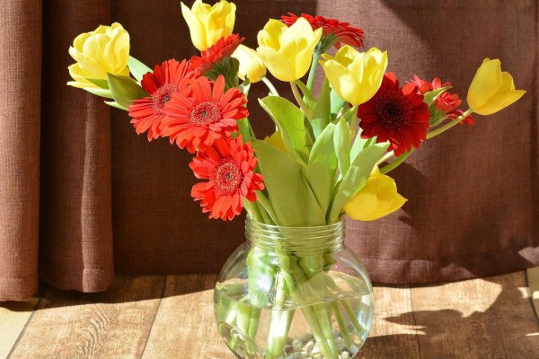 гербера букет