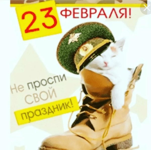 с 23 февралем