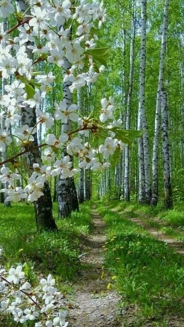 апрель природа