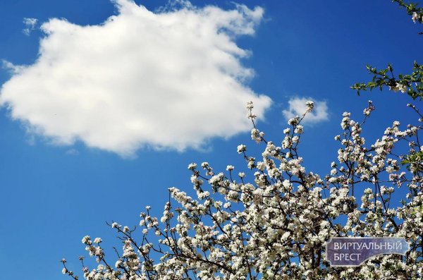 весеннее небо