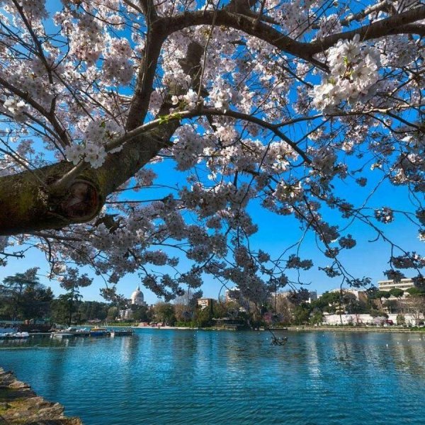 природа весной