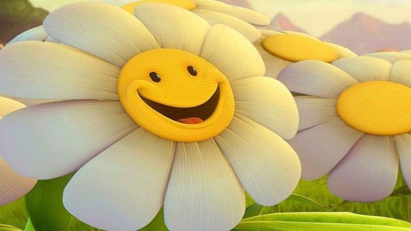 веселая ромашка