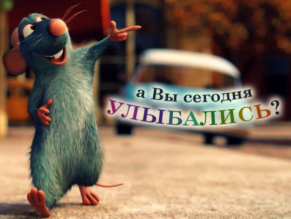 крыса мультик