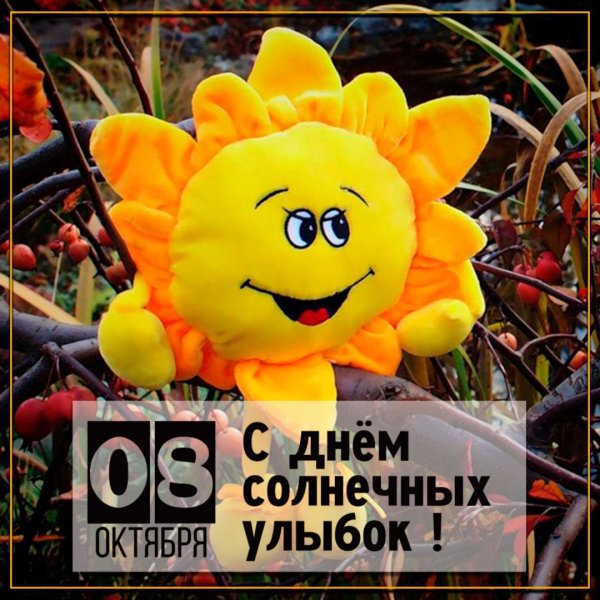 день солнечных улыбок 8 октября