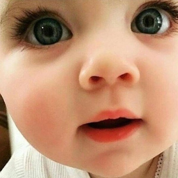 фаришта чакалоклар