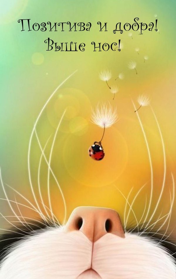 доброе утро божья коровка