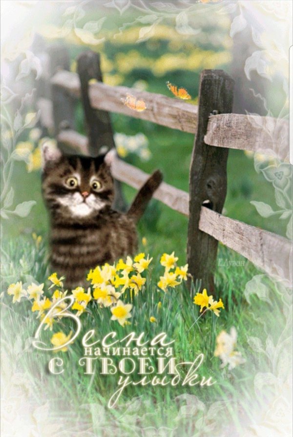 открытка весеннего настроения