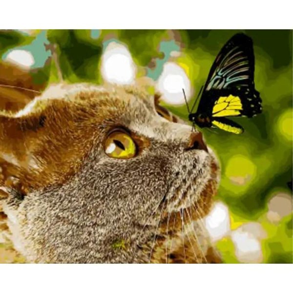 кот с бабочками