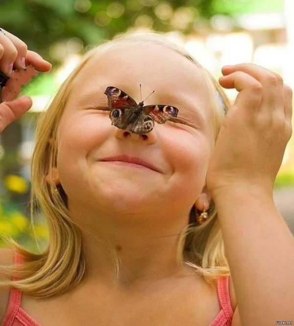 девочка с бабочками
