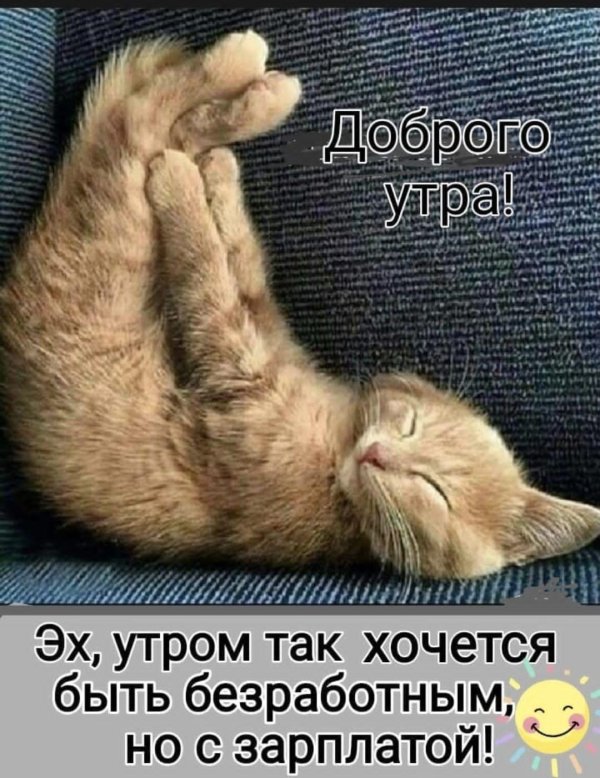 проснулись улыбнулись потянулись