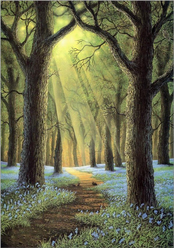 лесной пейзаж