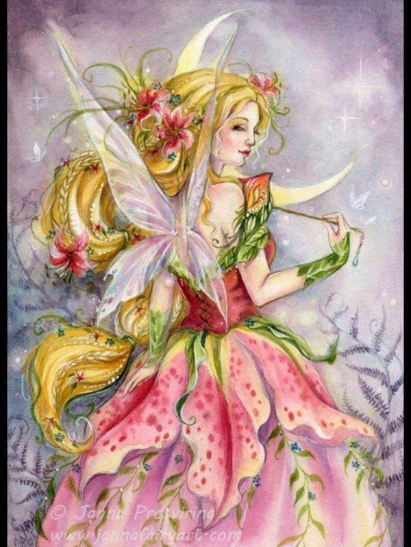 fairy fairy