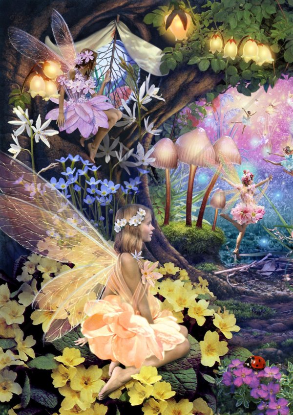 дорин вёрче волшебное царство фей