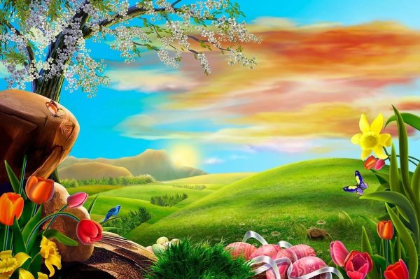 сказочное поле