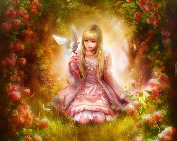 художник шу мизогучи