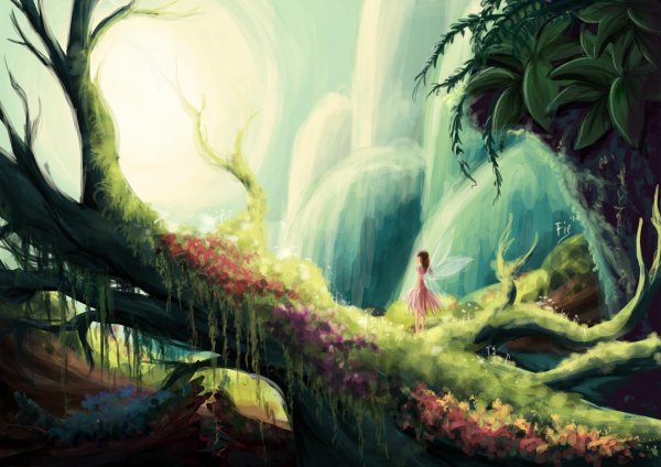 волшебный лес