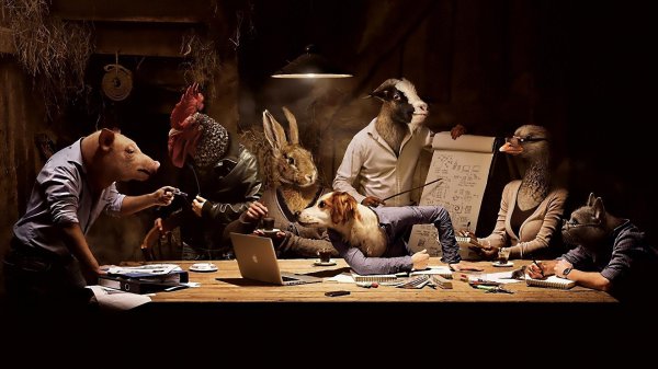 совещание животных