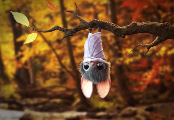 летучая мыши