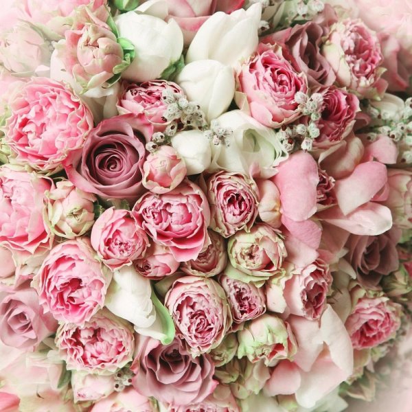 нежный букет пионовидных роз