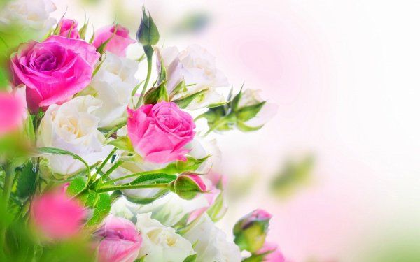 поздравление с днем