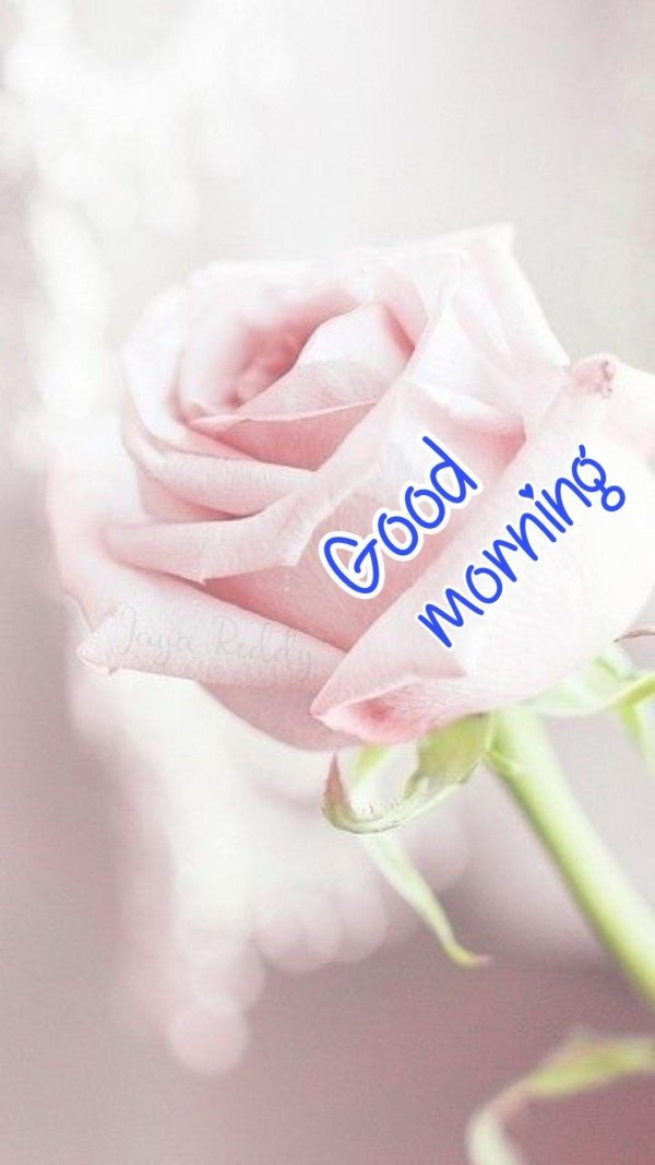 цветы пастельные