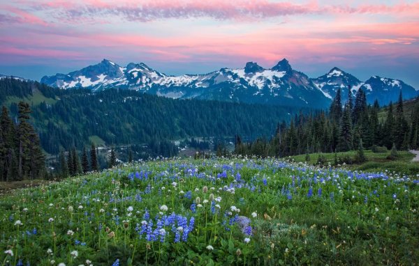 mt rainier national park