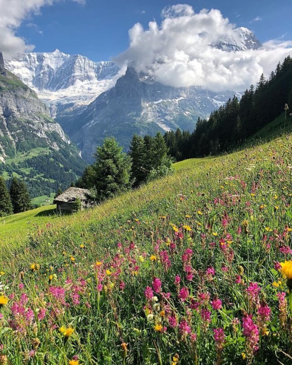 прекрасная природа