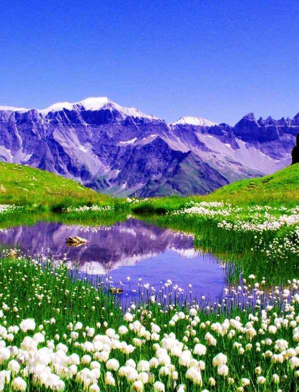 природа красивая