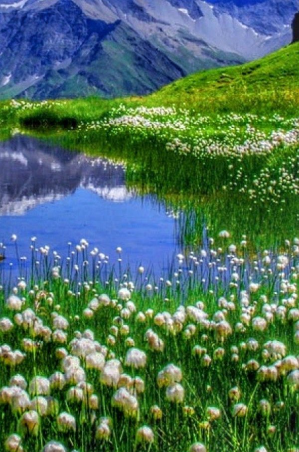 красота природа