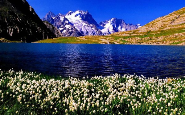 маклейк озеро