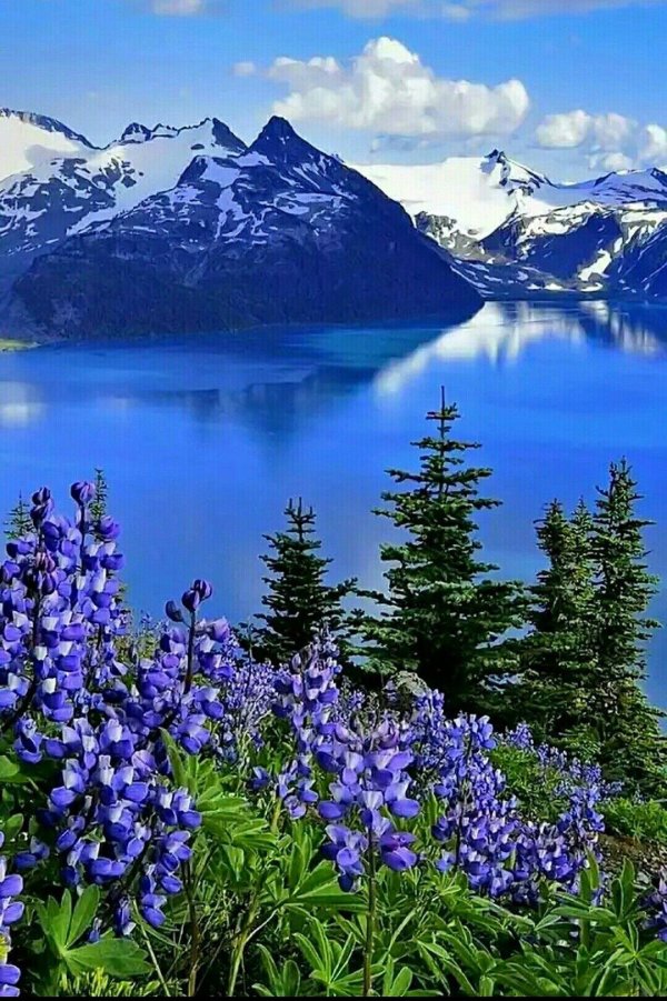 красивые пейзажи природы