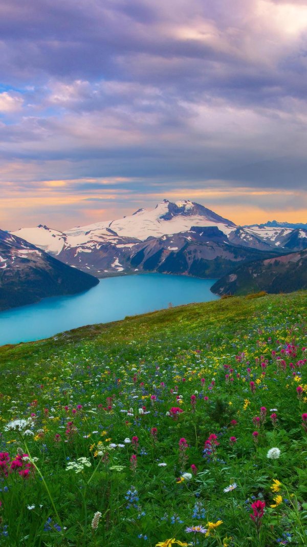 прекрасный пейзаж