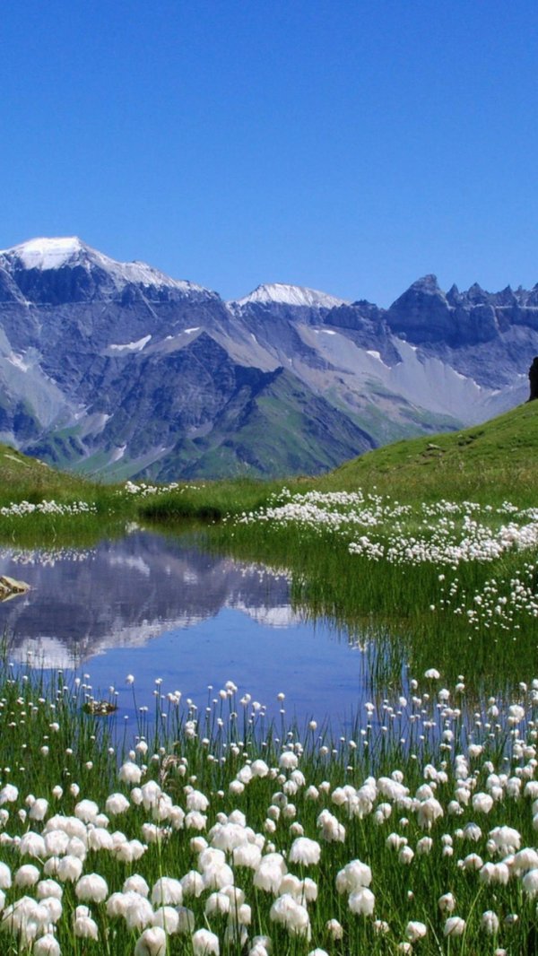 природа красивая