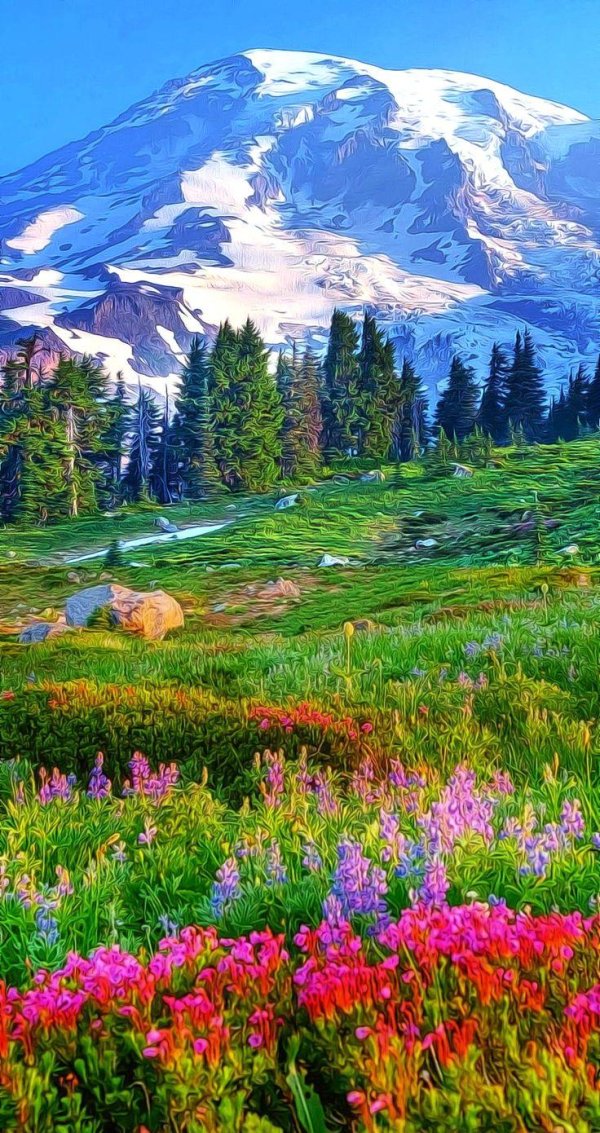 mt rainier national park