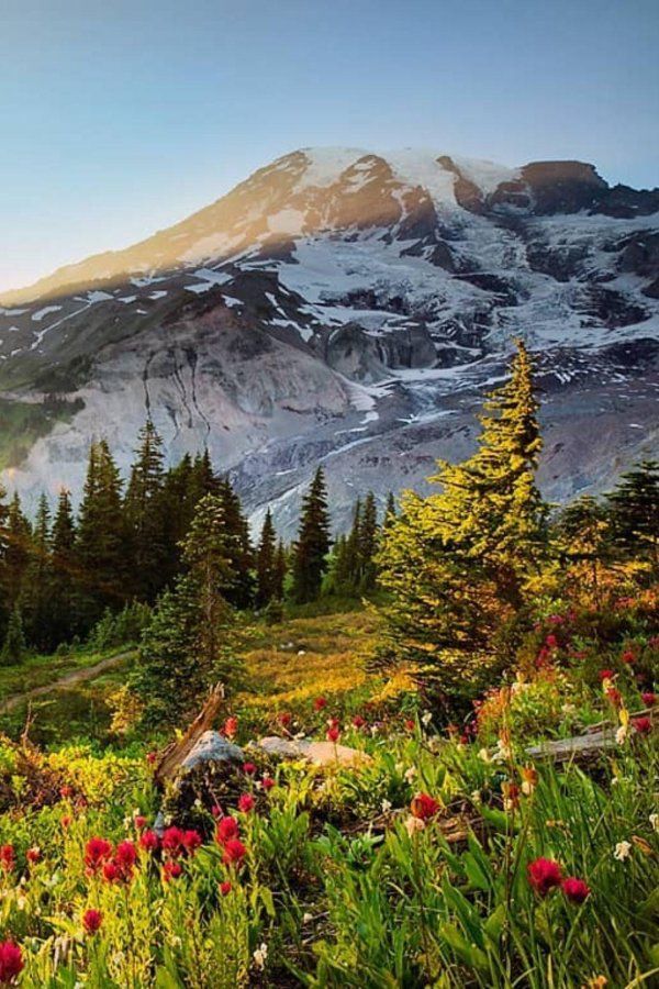 гора ренье  mount rainier